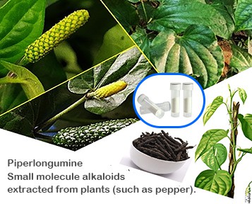 Kiedy pielęgnacja skóry spotyka się z nauką o komórkach: różnorodne możliwośc...